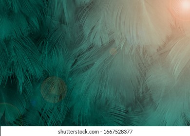 Viridian Green Images, Stock Photos & Vectors | Shutterstock