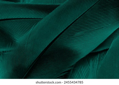 Beautiful dark green viridian vintage color trends feather texture background Stockfoto