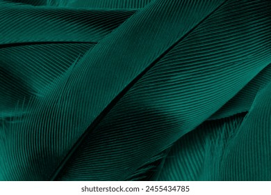 Beautiful dark green viridian vintage color trends feather texture background Foto Stok