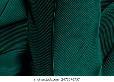 Beautiful dark green viridian vintage color trends feather texture background : photo de stock