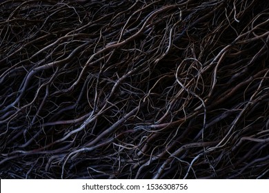 Beautiful dark low key texture background. Gothic moody background. Black, purple and grey abstract nature background texture of dry tree roots - Shutterstock ID 1536308756