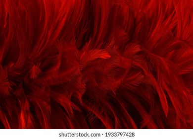 Beautiful Dark Red Bird Feathers Pattern Texture Background.