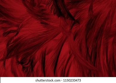 Beautiful Dark Red Maroon Feather Pattern  Texture Background