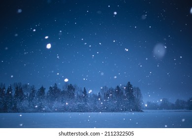 A beautiful, dark winter scenery while snowing. Bright white snowflakes. Snowy landscape of Northern Europe.