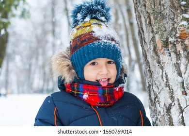 Beautiful Darkhaired Boy Played Winter On Stock Photo 1550769014 ...