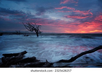 Beautiful dawn over Driftwood Beach on Jekyll Island, Georgia - Powered by Shutterstock