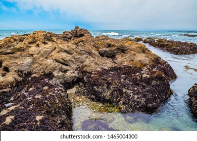 Beautiful Day Along the Northern California Coast - Powered by Shutterstock