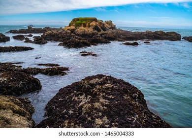 Beautiful Day Along the Northern California Coast - Powered by Shutterstock