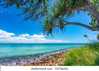 Beautiful day with blue sky on the coastline of Noosa National Park, Noosa, Queensland, Australia.