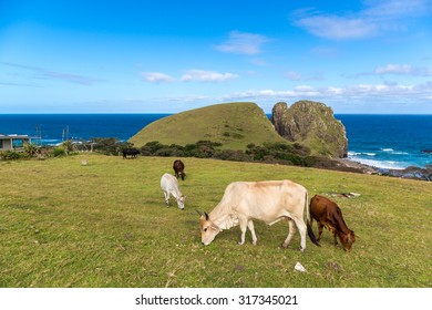 Beautiful Day In Coffee Bay In The Wild Coast Region, South Africa, Africa