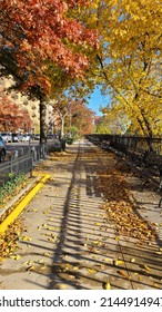 A Beautiful Day In Harlem, NYC