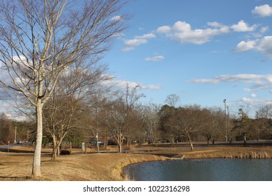 Beautiful Day At The Lake On Dalton GA USA 2/2/2018