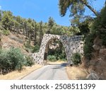 A beautiful day at Martyrs forest Israel