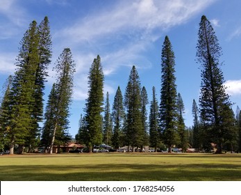 A Beautiful Day On Lanai Island