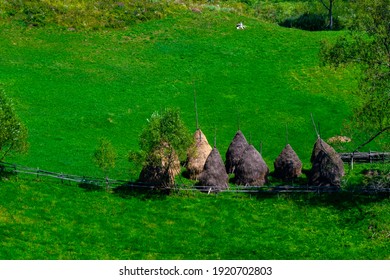 A Beautiful Day In Our Journey On The Mountains Of Our Ancestors