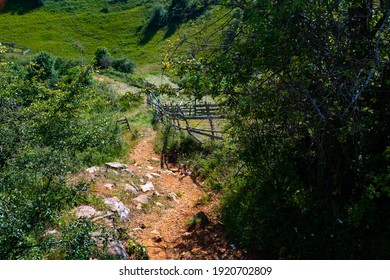 A Beautiful Day In Our Journey On The Mountains Of Our Ancestors