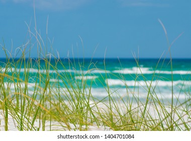 587 Navarre beach Images, Stock Photos & Vectors | Shutterstock