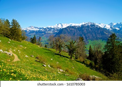 A Beautiful Day In Bürgenstock Switzerland