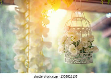 beautiful decor, white cage with flowers hanging by the window - Powered by Shutterstock