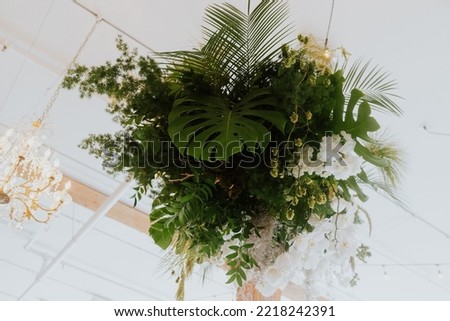A beautiful decoration of weddings with various of exotic green leaves of monsters and palms for nature concept set of leaves. Delicate welcome bouquet
