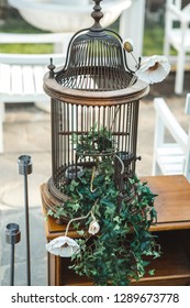 Beautiful Decorative Bird Cage Studio