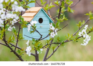 Beautiful decorative birdhouse in the branches of a blossoming apple tree