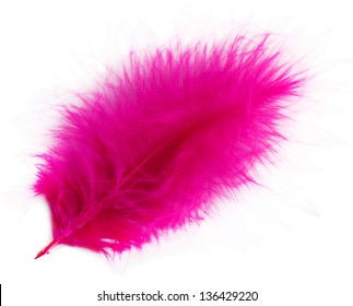 63,291 Pink feather isolated Images, Stock Photos & Vectors | Shutterstock