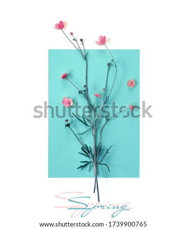 Similar – Image, Stock Photo Palm leaves and tropical flowers frame on white