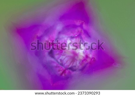 A beautiful delicate purple colored flower. Plant with blurred background