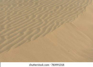 Beautiful Desert Background Thar Desert Jaisalmer Stock Photo 783991318 |  Shutterstock