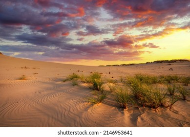 Beautiful desert landscape during golden hour