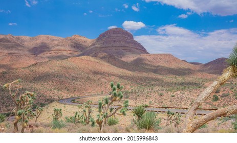 砂漠化 Images Stock Photos Vectors Shutterstock 砂漠化 Images Stock Photos Vectors Shutterstock