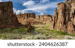 Beautiful desert scene of the Owyhee Canyon River in spring
