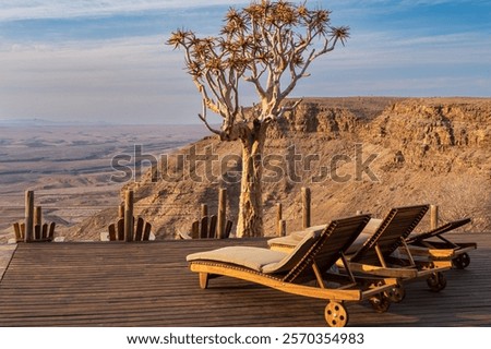 Similar – Image, Stock Photo gnarled Kokerboom tree