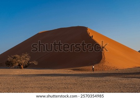 Similar – Image, Stock Photo gnarled Kokerboom tree