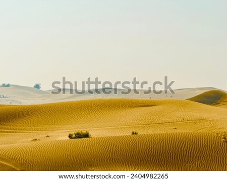 The beautiful Desert of UAE