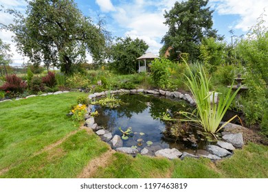 Beautiful Designed Garden Fish Pond With Water-lily In A Well Cared Backyard Gardening Background