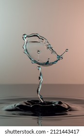 Beautiful Detached Water Drop Splash Above Dark Water