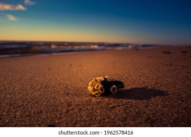 A Beautiful Details Of A Sandy Beach Ar The Baltic Sea In Northern Europe. Beach Closeup With Small Rocks.