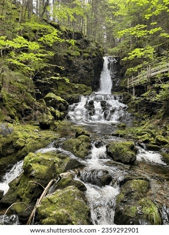Beautiful dickson falls one of the main attractions at fundy national park