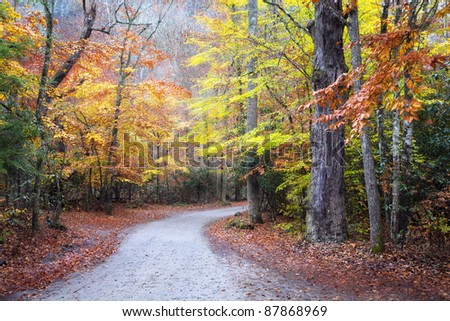Beautiful dirt road with Fall colors in the trees