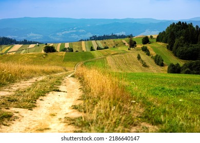 Beautiful Dirt Road To The Fields On The Hill With Mountains In Background, Some Forest On The Right, Clouds In The Sky, Day Light No People