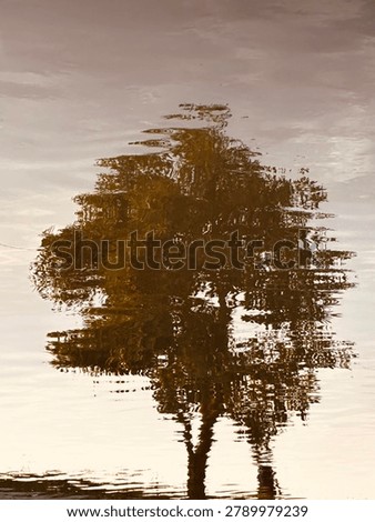 Beautiful distorted tree reflection on golden water surface with ripples. Serene artistic nature background.