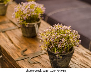 Beautiful and diverse subject. Beautiful vintage pots of flowers on a vintage wooden box in a stylish retro interior.
