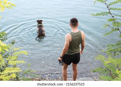 Beautiful Dog Bathing In Lake Or River. Attractive Middle Aged Man Walking The Pet In Nature. Swimming Animal. Summer Holidays.