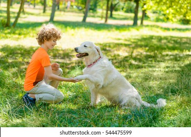 Beautiful Dog Gives A Shake To His Master. Cute Redhead Boy With Curly Hair Smiles To His Pet And Holds His Paw With A Hand.