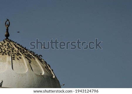 Similar – Image, Stock Photo Lantern over hedge Town