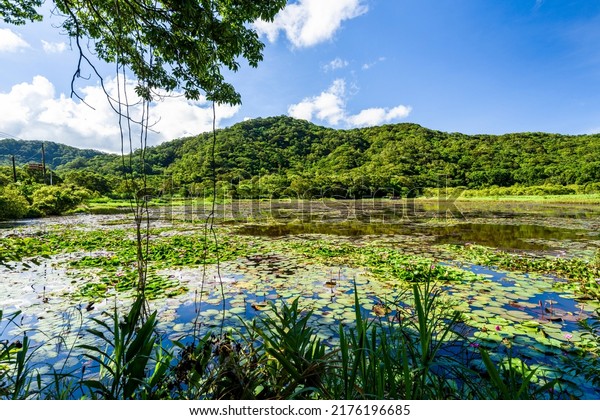 Beautiful
Dongyuan Wetland Park in Pingtung,
Taiwan.