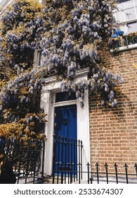 Hermosa puerta con flores