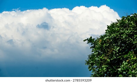 Beautiful dramatic white clouds floating across a bright blue sky beside a lush tropical green tree. This natural landscape photograph captures a peaceful outdoor atmosphere with vibrant colors, perfect for weather, environment, travel, nature background, and scenic stock photography themes.